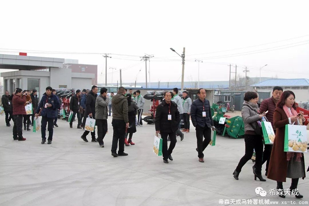 2-1P11G3133V60.jpg 2-1P11G3133V60.jpg