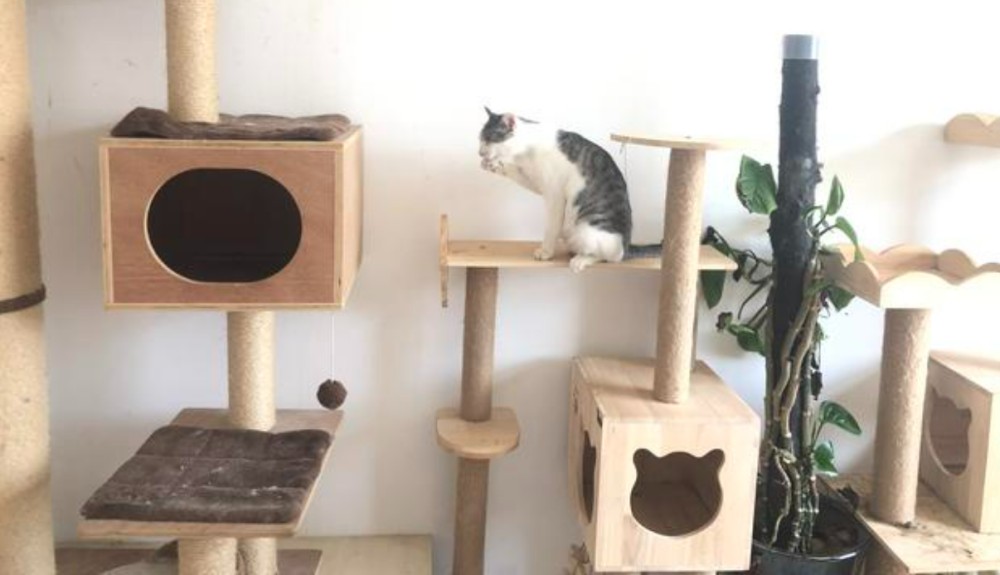 Применение четырехпроцессного станка для резки с ЧПУ в зооиндустрии Применение четырехпроцессного станка для резки с ЧПУ в зооиндустрии