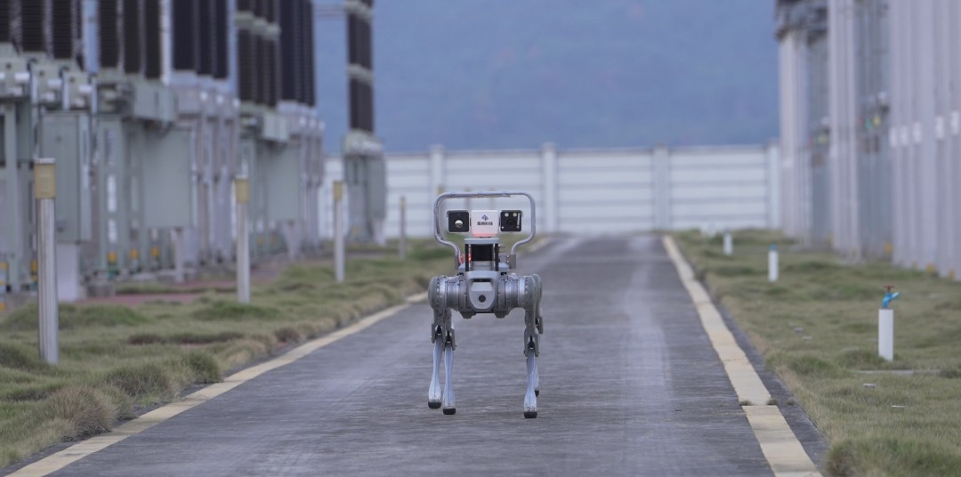Robot dog Robot dog