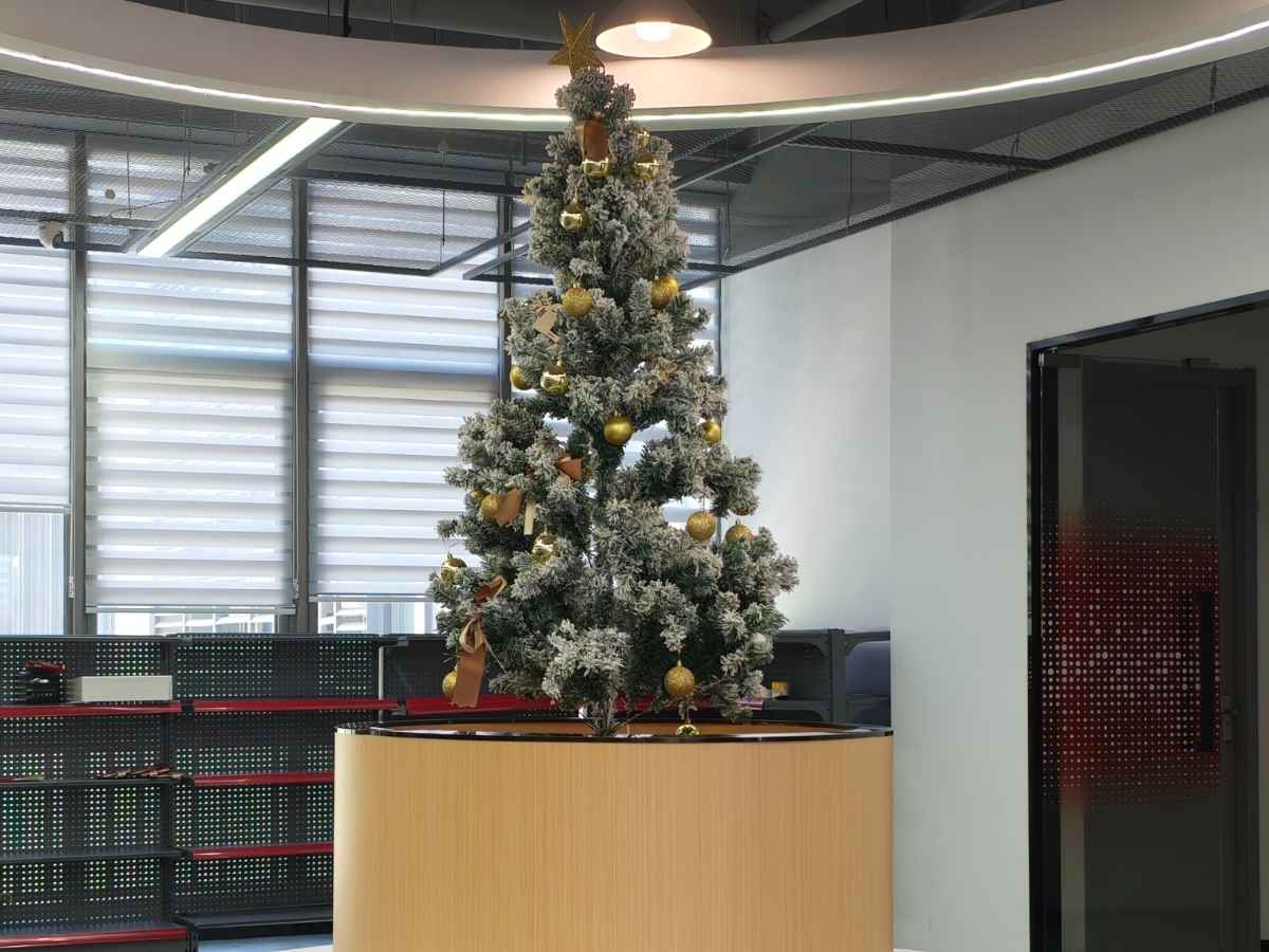 HONPINEはクリスマスのお祝いとチームビルディングを組み合わせています