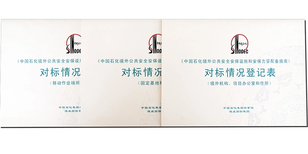  公共安全咨询顾问
