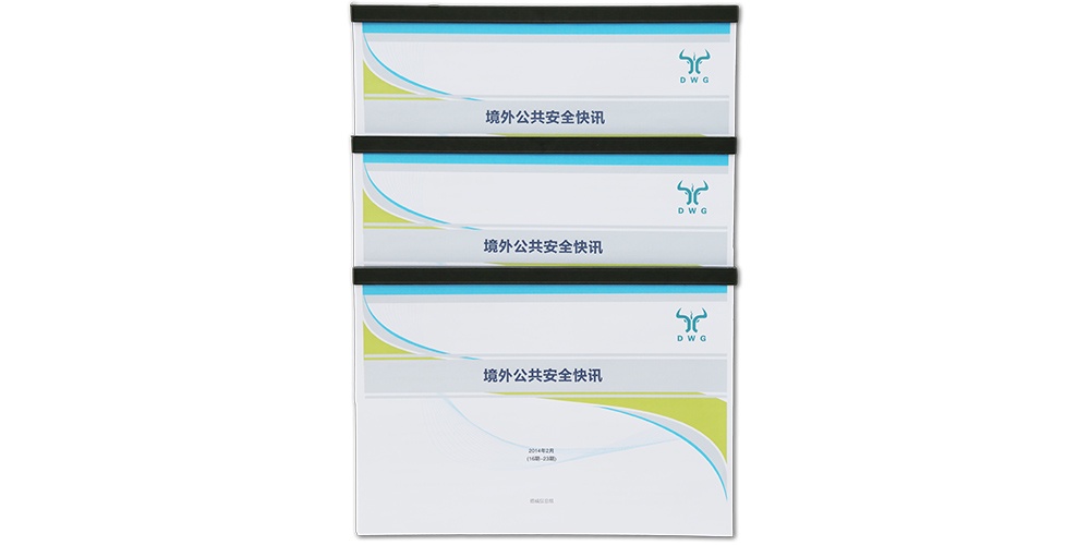  公共安全咨询顾问