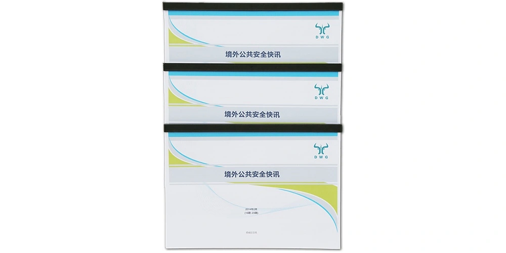  公共安全咨询顾问