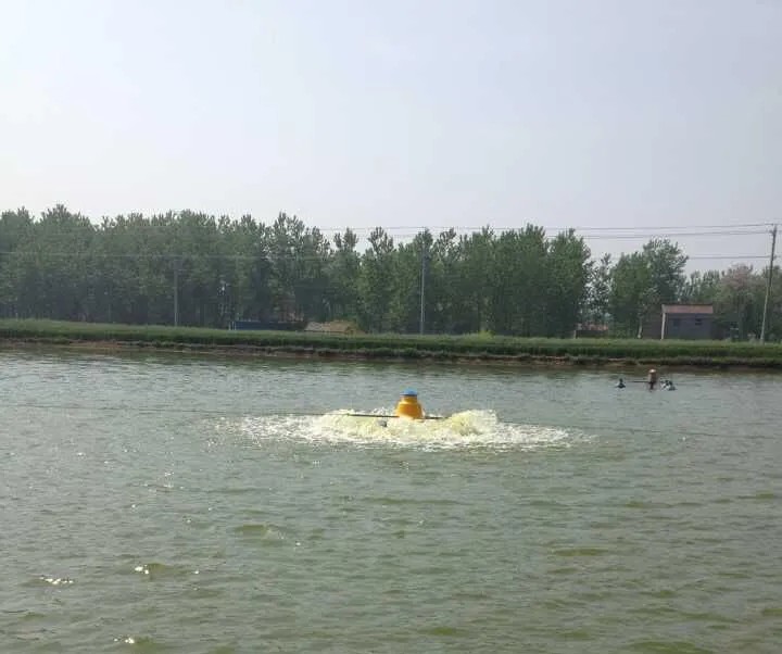 Aquaculture Equipment Impeller Pond Aerator