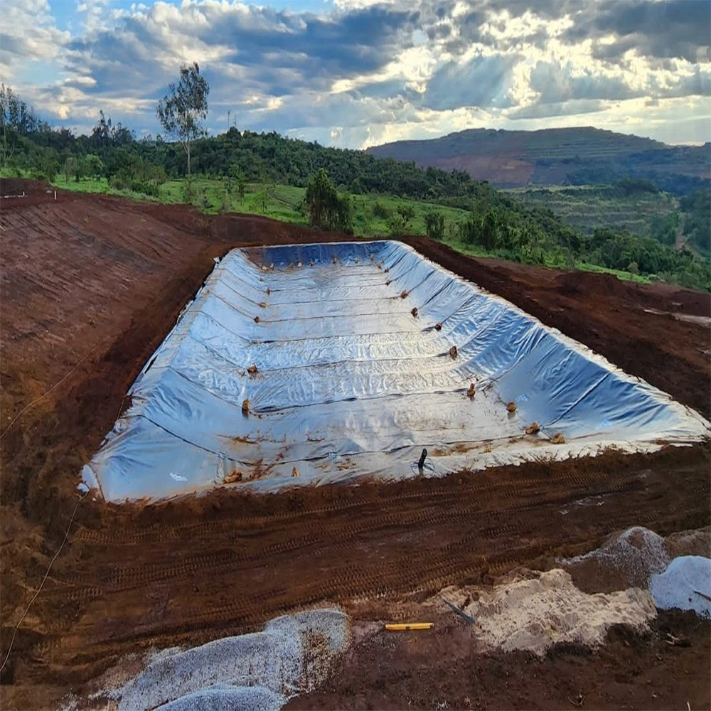 Geomembrana de HDPE /LDPE /LLDPE/revestimiento para estanque Geomembranas de HDPE HDPE liso para granja de peces