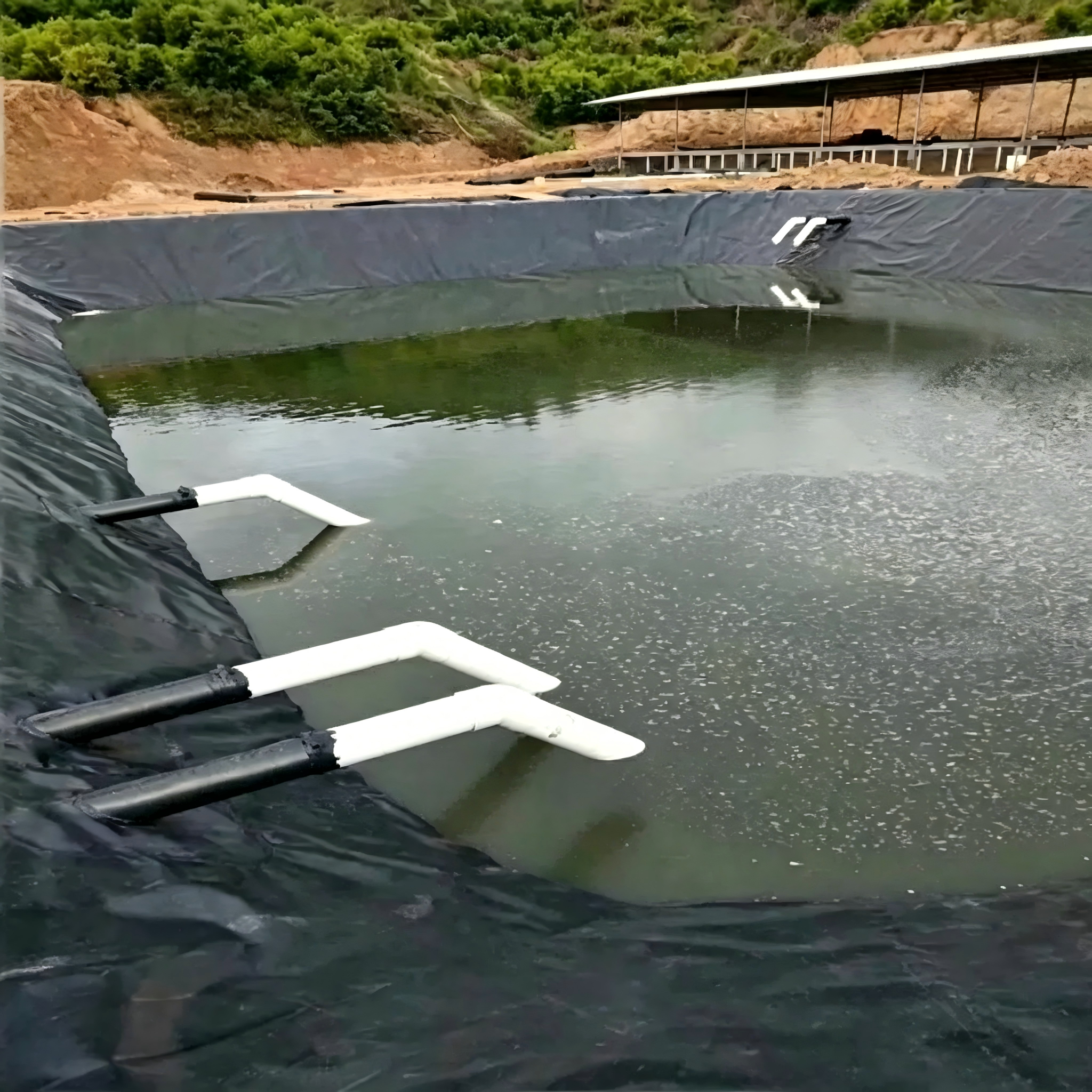 Fabricante de geomembrana HDPE PE/EVA/Ecb/PVC para agricultura/reservorio