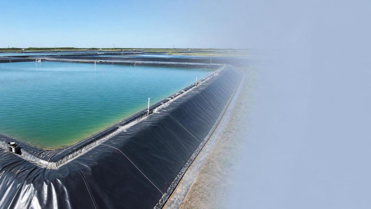 Fish Pond Liner for Shrimp and Fish Farms: How to Match Material to Water Conditions