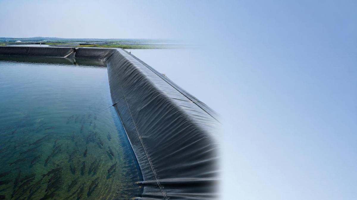 How Fish Pond Liner Quality Influences Water Loss, Cleaning, and Fish Health