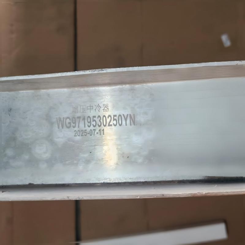 Conjunto de intercooler SINOTRUK HOWO WG9719530250 enfriador de aire de sobrealimentación del motor para motor WD615