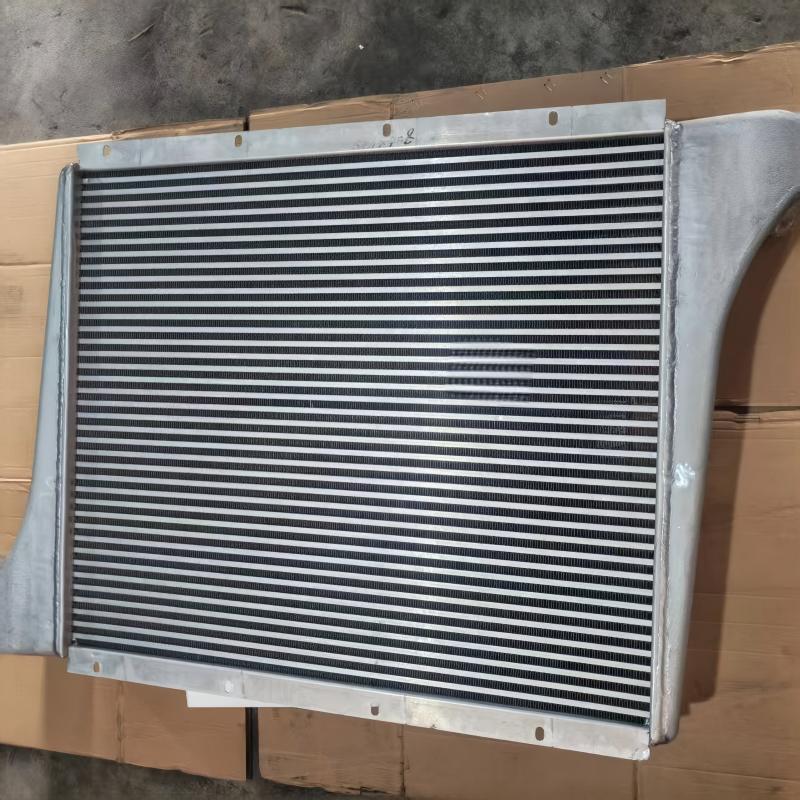 Conjunto de intercooler SINOTRUK HOWO WG9719530250 enfriador de aire de sobrealimentación del motor para motor WD615