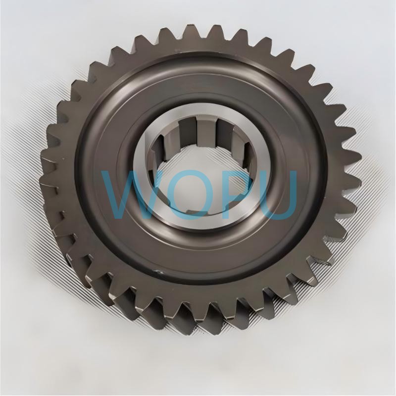 FK011 (6)