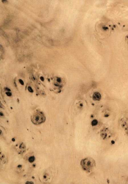High-End Custom Veneer-High-End Custom Veneer No.7