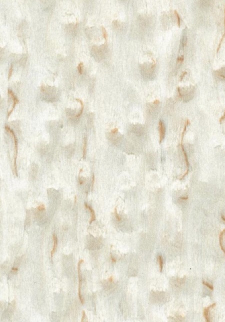 High-End Custom Veneer-High-End Custom Veneer No.10