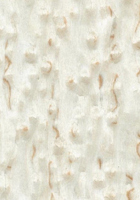 High-End Custom Veneer-High-End Custom Veneer No.10