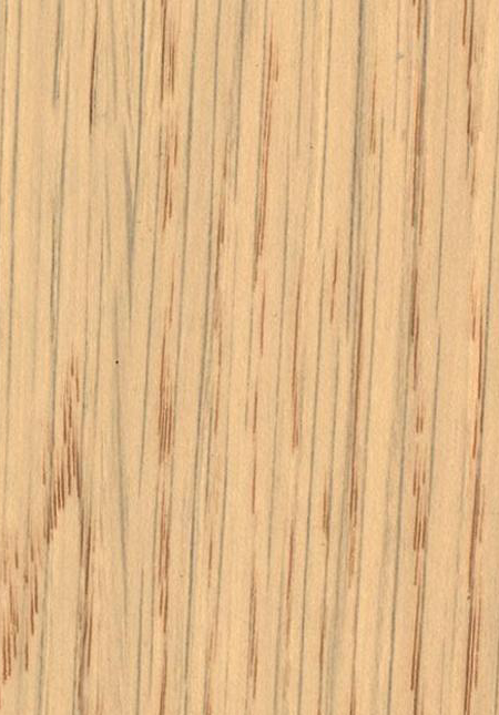Italian Semi-Transparent-MLSA8802