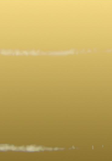 Mirror-Gold Mirror