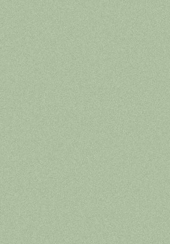 Skin-Feel Solid Color-MLDS24009