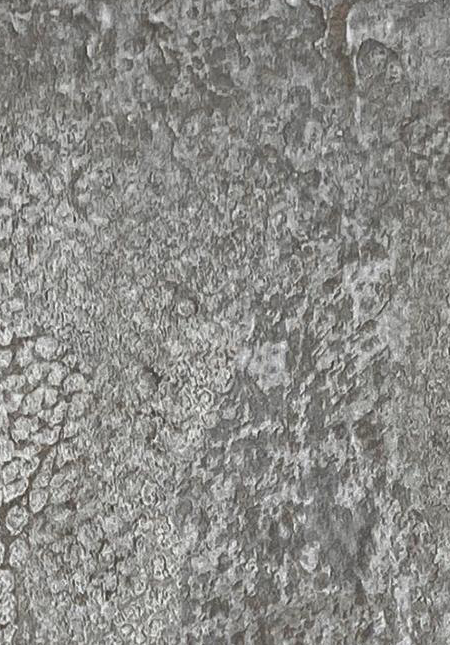 High-End Leather Grain-High-End Leather Grain 1