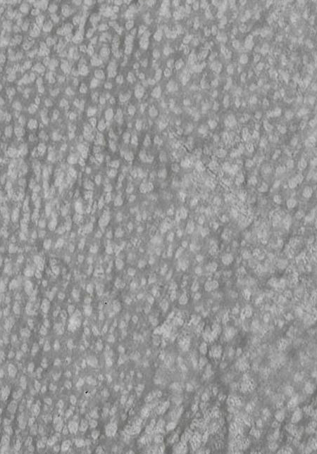 High-End Leather Grain-High-End Leather Grain 3