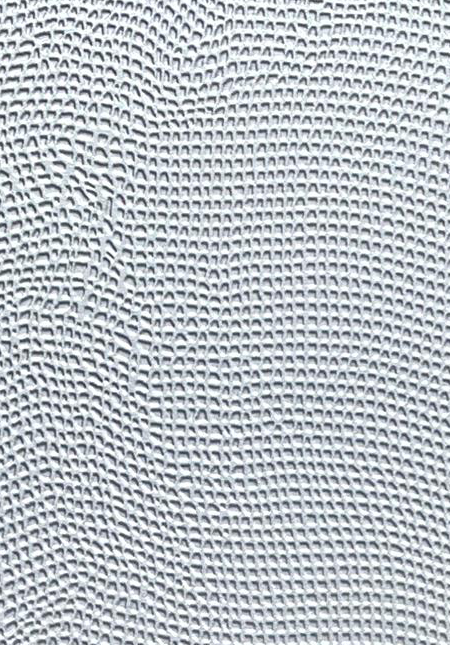 Embossed Metal-Stardust Silver
