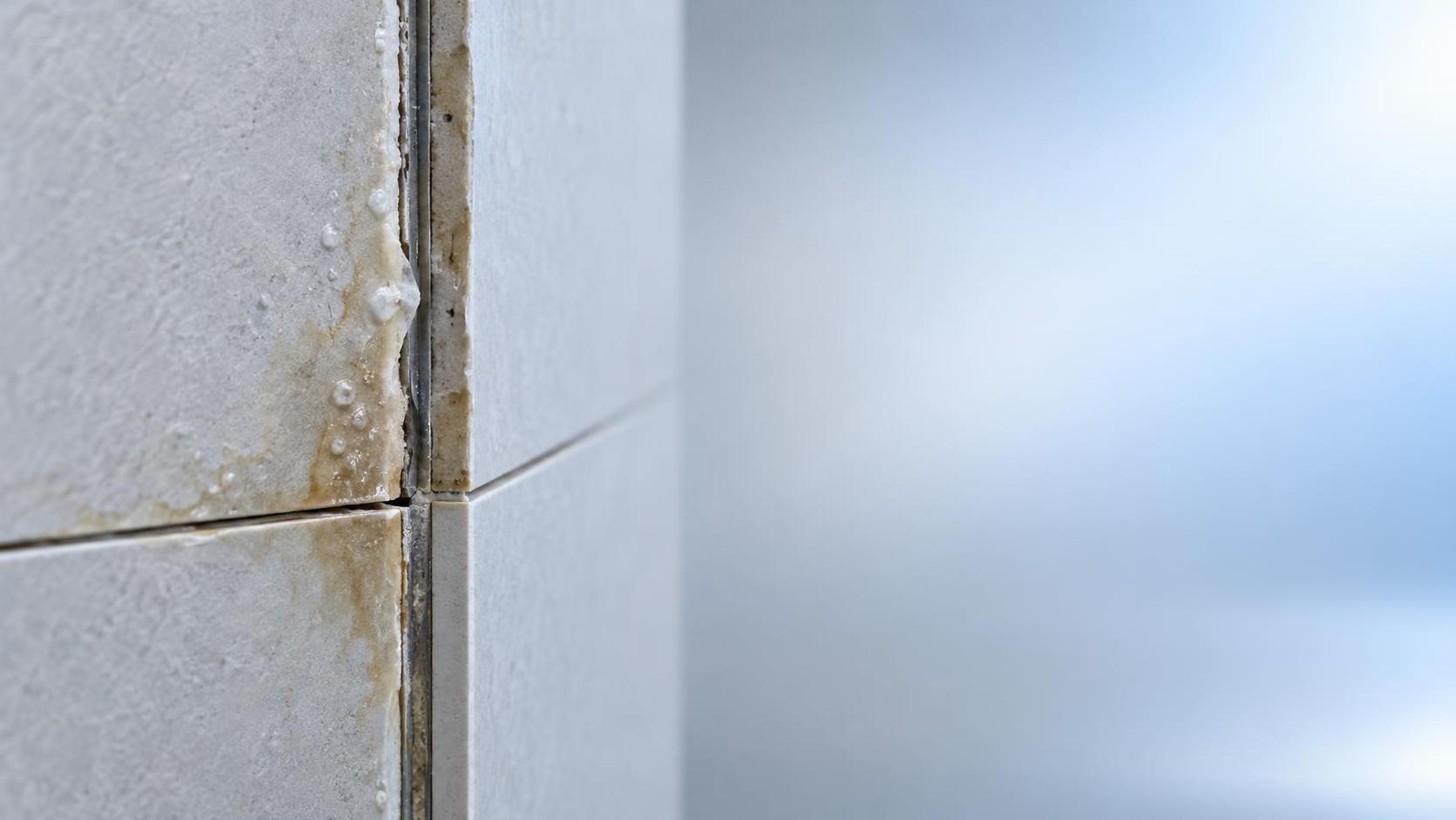 Comment inspecter les panneaux muraux composites afin de détecter les premiers signes de problèmes d’humidité