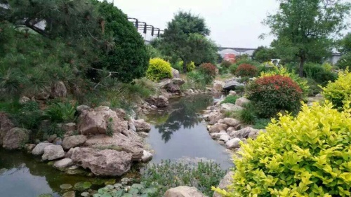 基地实拍