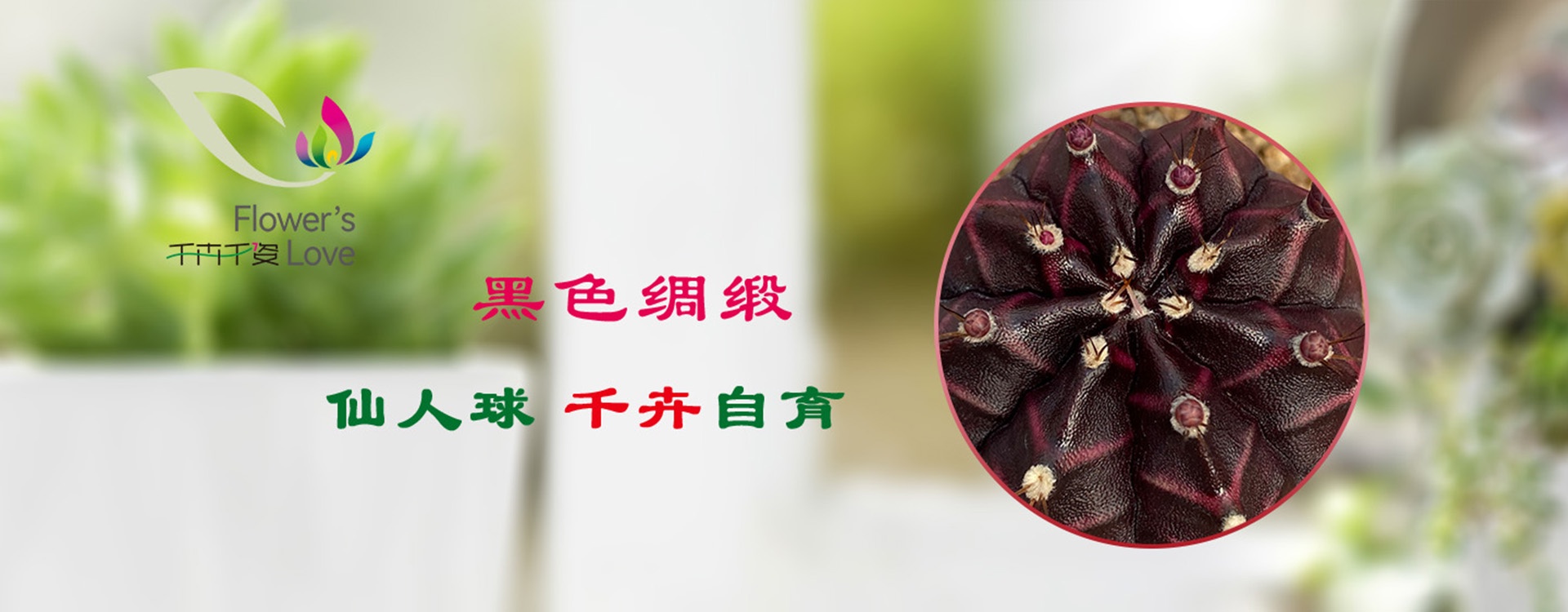 banner黑色绸缎