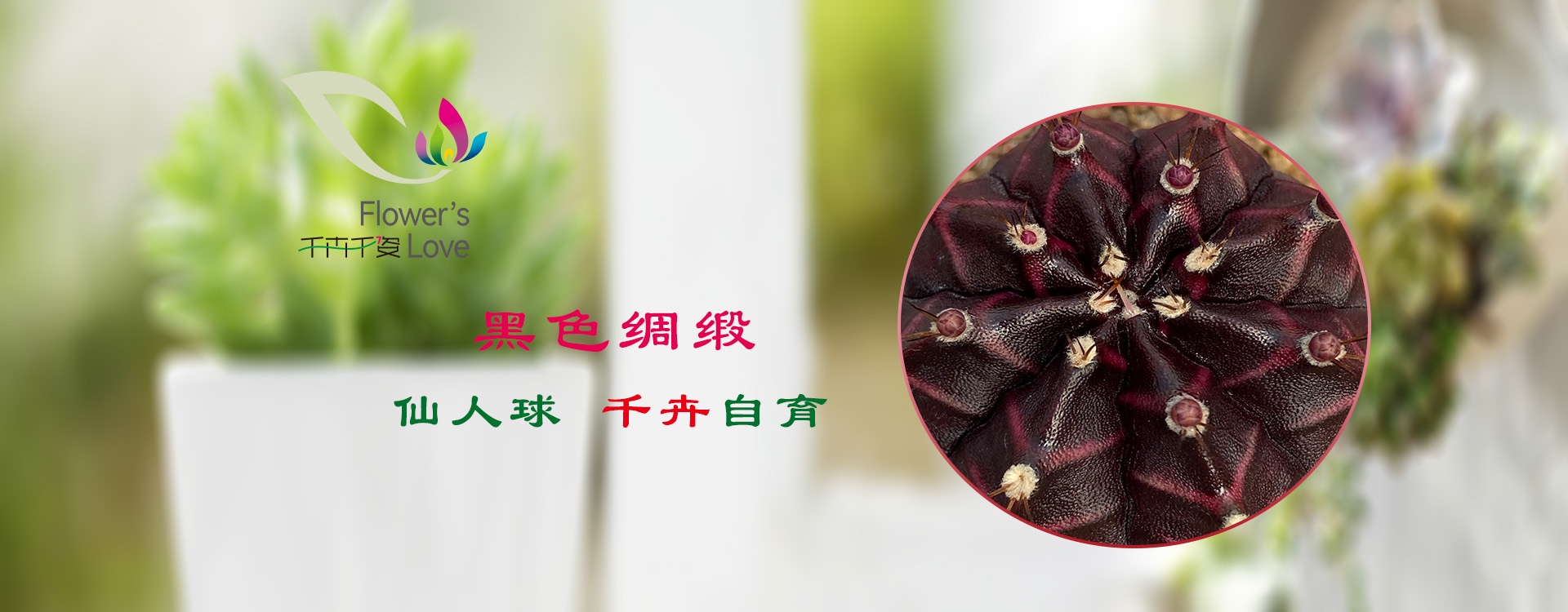 黑色绸缎2026
