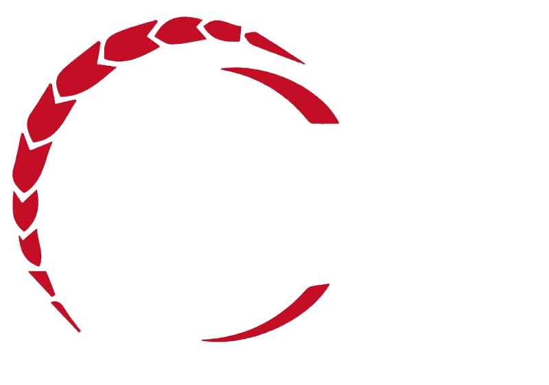 логов