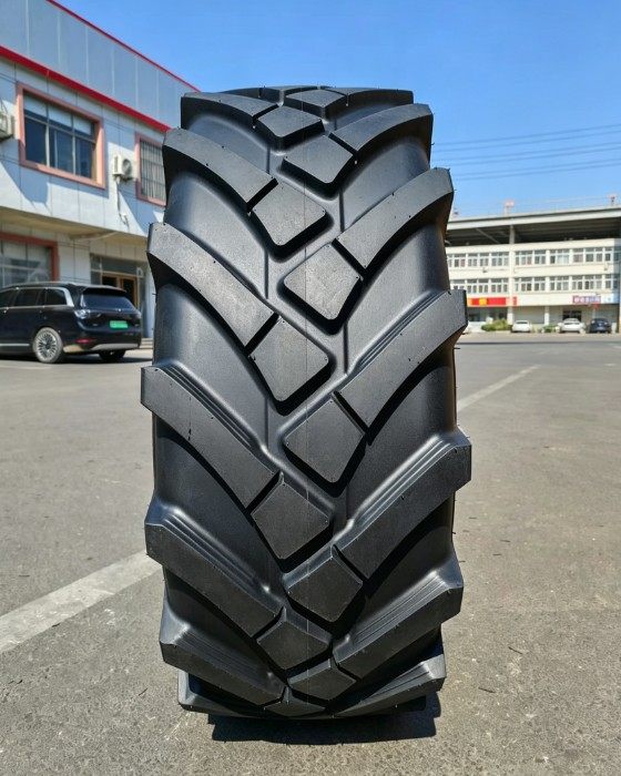 Изображение 3