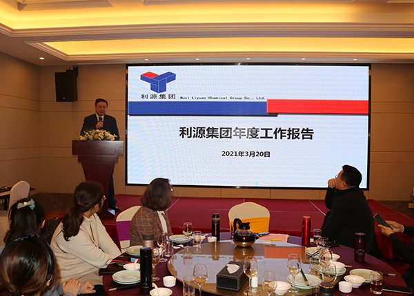 利源集团年度总结报告