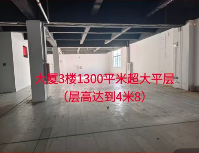 大厦3楼1300平米超大平层 (层高达到4米8)