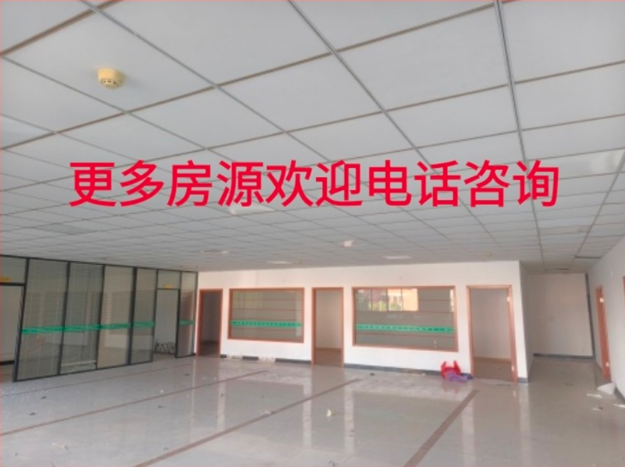 利源大厦3楼500平精装修 综合办公大空间