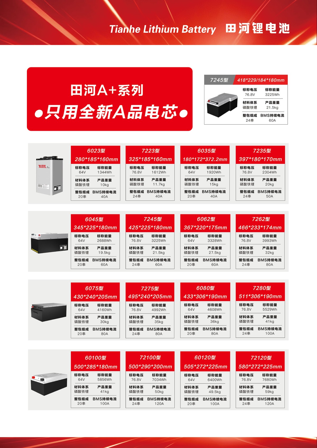 Lithium Battery Tri-Fold Brochure-3