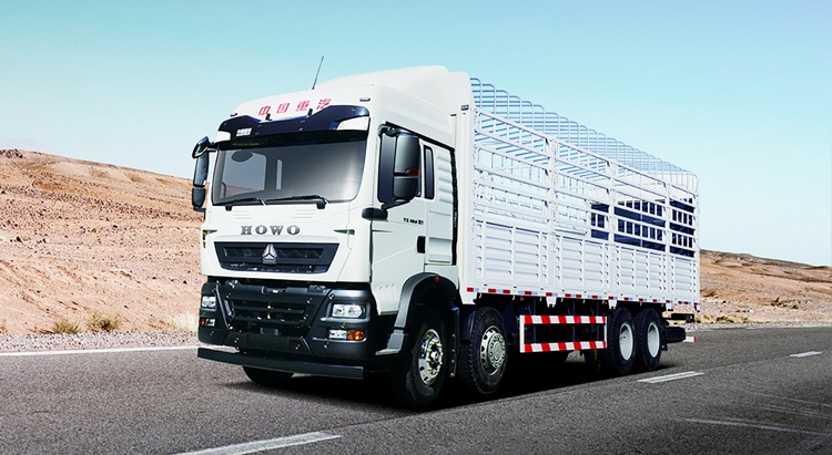 Caminhão de Carga HOWO TX 8×4
