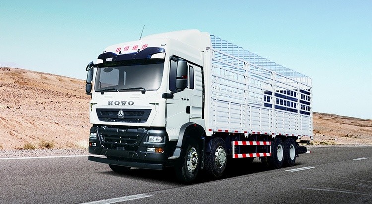 HOWO TX 8×4 cargo truck (2) HOWO TX 8×4 cargo truck (2)