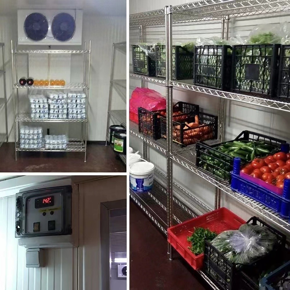 Cámara de almacenamiento en frío compacta (4)