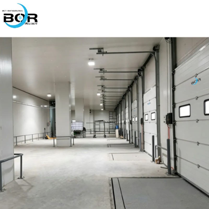 800x800(3 800x800(3