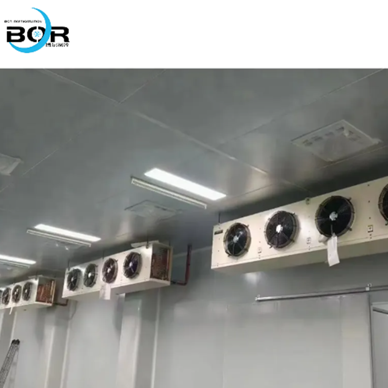 Cámara frigorífica para logística de cadena de frío y cámara frigorífica funcional