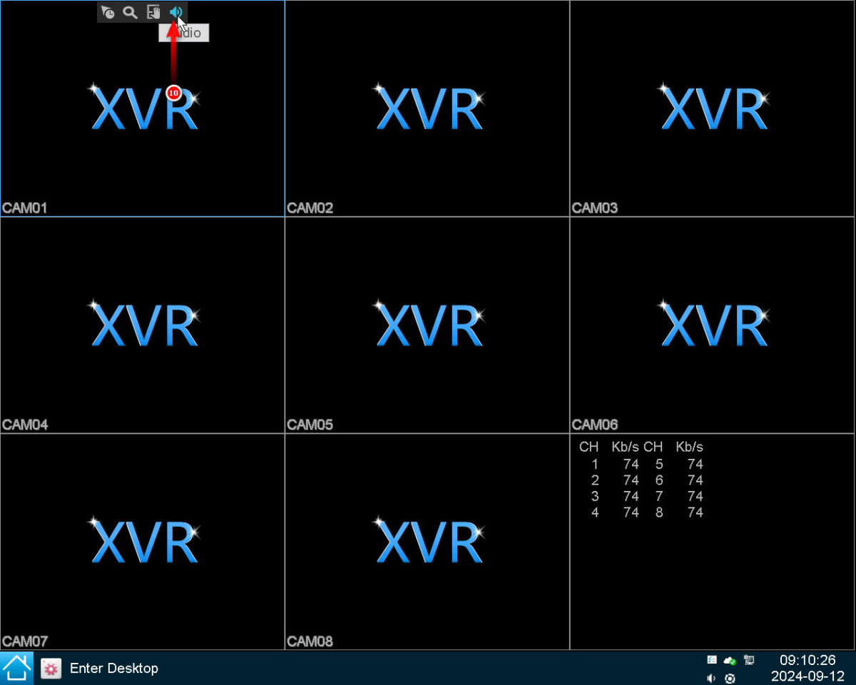 Как настроить звук в XVR?