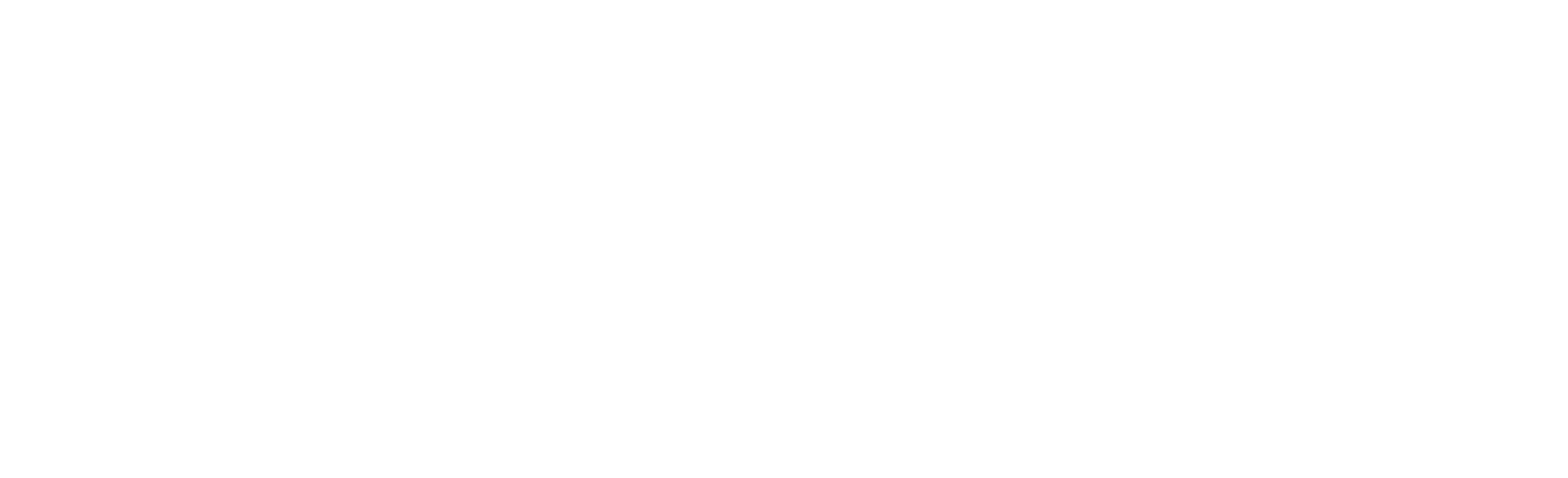 Логотип Shengong