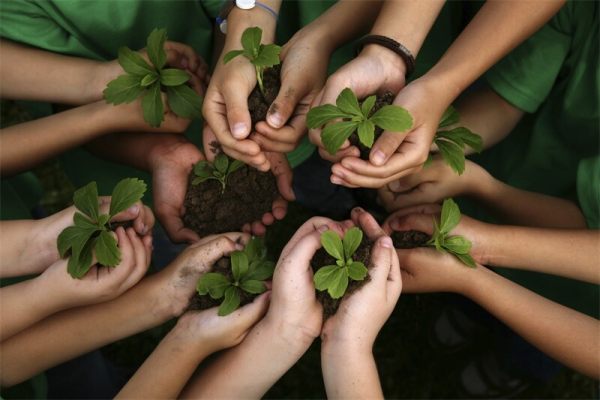 Ecosistema relacionado de Amico