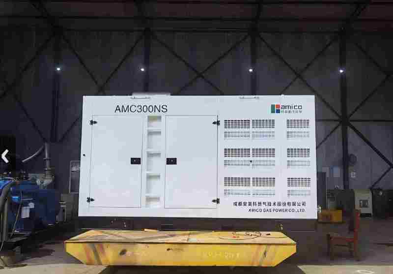 Grupo electrógeno de gas contenedorizado de 300kW