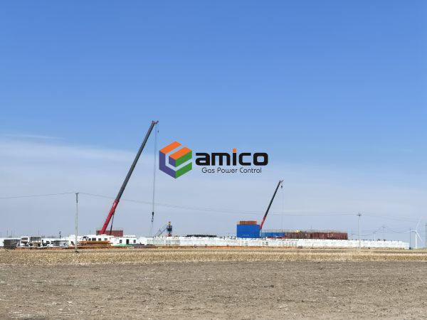 ¿Por qué cada vez más empresas eligen AMICO? 4 ventajas clave: ¡los expertos del sector nos eligen!