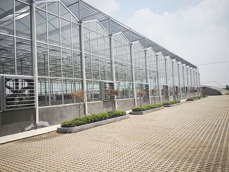Glass Greenhous