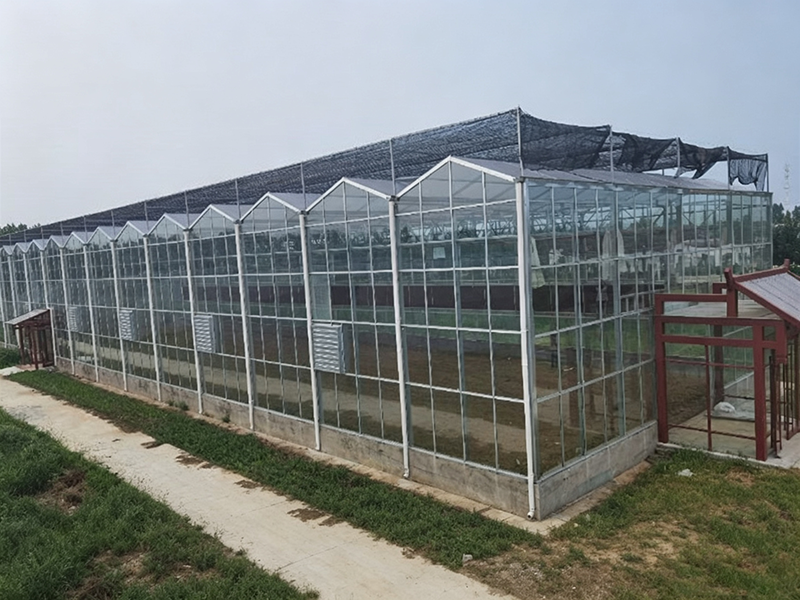 Glass Greenhouse Investment Trends for 2026 Projects