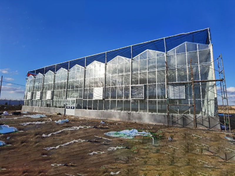 Glass Greenhous