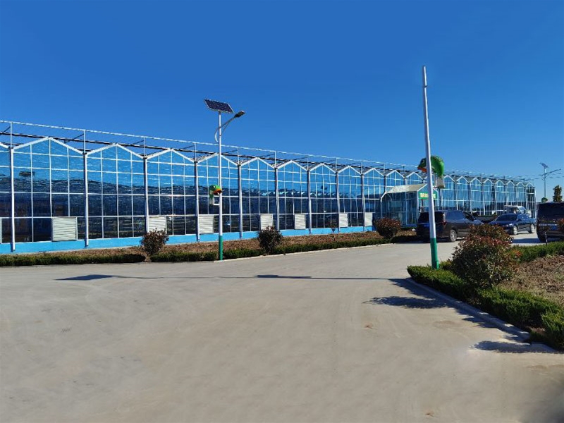 Glass Greenhous