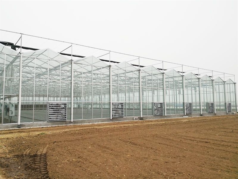 Glass Greenhous