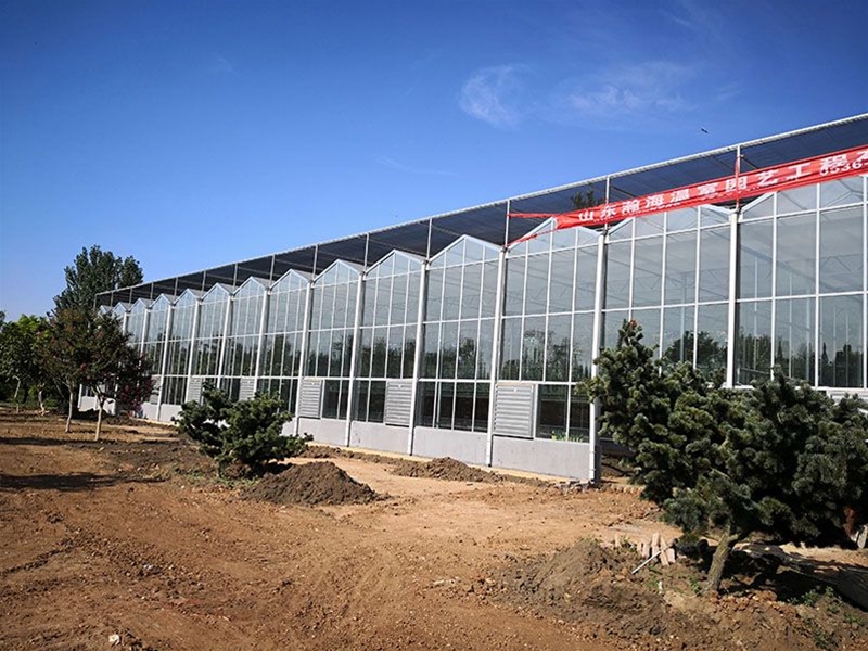 Glass Greenhous